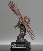 Picture of Bronze Eagle of Honor Award