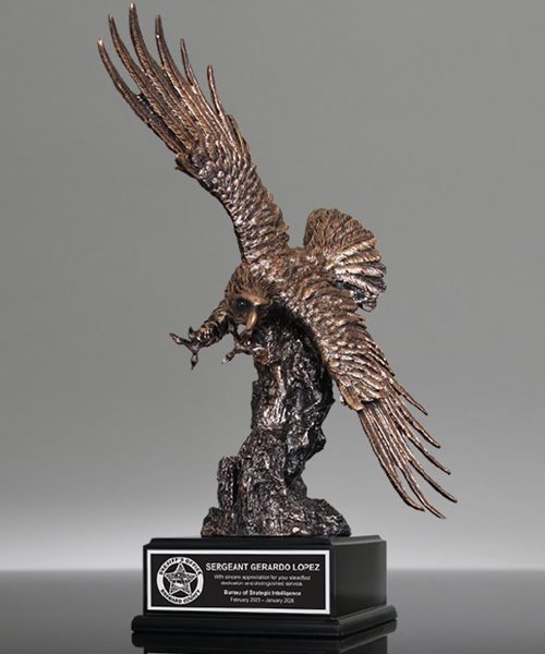 Picture of Bronze Eagle of Honor Award