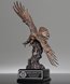 Picture of Bronze Eagle of Honor Award