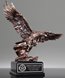 Picture of Wings of Valor Bronze Eagle Award