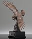 Picture of Bronze Eagle of Honor Award