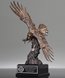 Picture of Bronze Eagle of Honor Award