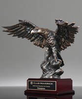 Picture of Bronze Leadership Eagle Award