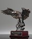 Picture of Bronze Leadership Eagle Award