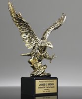 Picture of Foremost Eagle Award