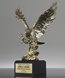 Picture of Foremost Eagle Award