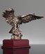 Picture of Bronze Leadership Eagle Award