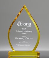 Picture of Luminis Gold Acrylic Flame Award