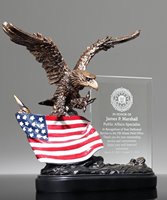 Picture of Patriot Eagle Award