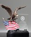 Picture of Patriot Eagle Award
