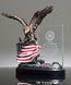 Picture of Patriot Eagle Award