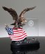 Picture of Patriot Eagle Award