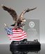 Picture of Patriot Eagle Award