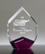 Picture of Marquis Diamond Purple Acrylic Award