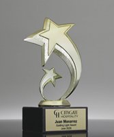 Picture of Star Fusion Award