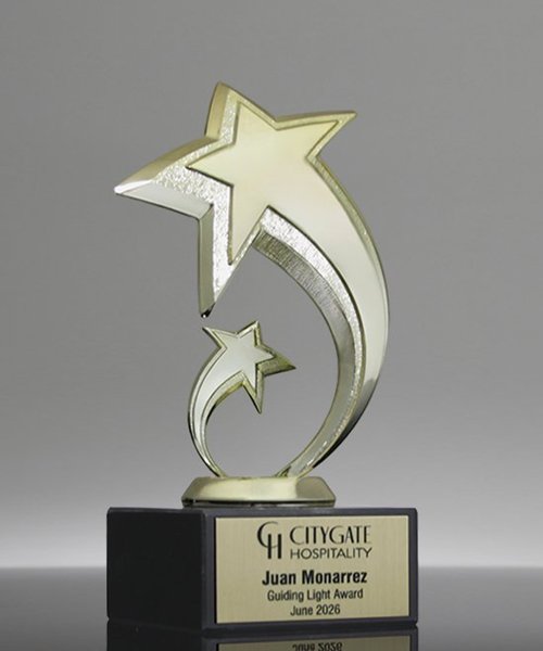 Picture of Star Fusion Award