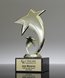 Picture of Star Fusion Award