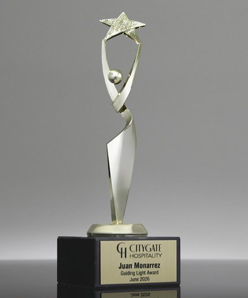 Picture of Reach for the Stars Achievement Award