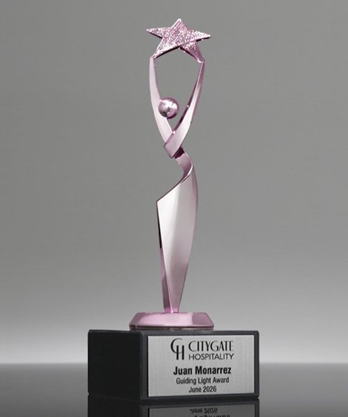 Picture of Reach for the Stars Pink Achievement Trophy