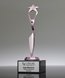 Picture of Reach for the Stars Pink Achievement Trophy