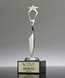 Picture of Reach for the Stars Achievement Award
