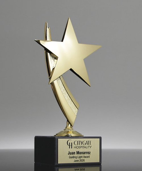 Picture of Gold Star Trophy
