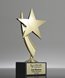 Picture of Gold Star Trophy
