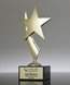 Picture of Gold Star Trophy