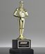 Picture of Classic Metal Achiever Trophy
