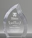 Picture of Halo Flame Acrylic Award