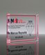 Picture of Acrylic Rectangle Full Color Paperweight