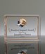 Picture of Acrylic Rectangle Full Color Paperweight