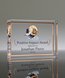 Picture of Acrylic Rectangle Full Color Paperweight