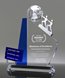 Picture of Team Excellence Goal Achievement Award