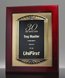 Picture of Iconic Cast Frame Award Plaque