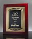 Picture of Iconic Cast Frame Award Plaque