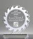 Picture of Cutting Edge Saw Blade Award