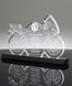 Picture of Sport Bike Acrylic Award