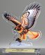 Picture of Wildlife Acrylic Hawk Award