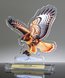Picture of Wildlife Acrylic Hawk Award