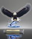 Picture of Wildlife Acrylic Eagle Award