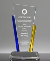 Picture of Business Recognition Award