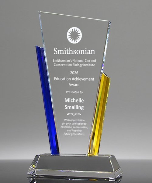 Picture of Business Recognition Award