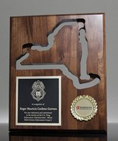 Picture of State of New York Wall Plaque