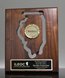 Picture of State of Illinois Wall Plaque