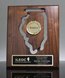Picture of State of Illinois Wall Plaque