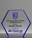 Picture of Starfire Blue Hexagon Full Color Award