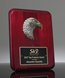 Picture of Leadership Eagle Casting Plaque