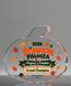Picture of Acrylic Pumpkin Full Color Paperweight