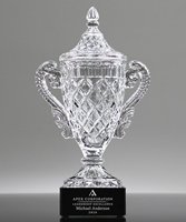 Picture of Foremost Crystal Trophy Cup